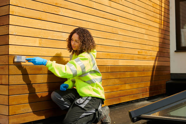 Best Fascia and Soffit Installation  in Amador Pines, CA